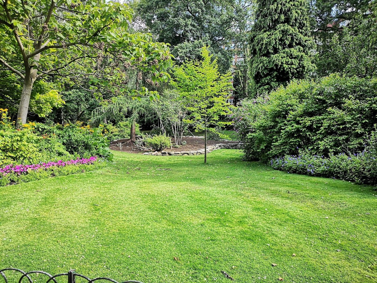 Established native planting bed with stone path and podocarpus hedging