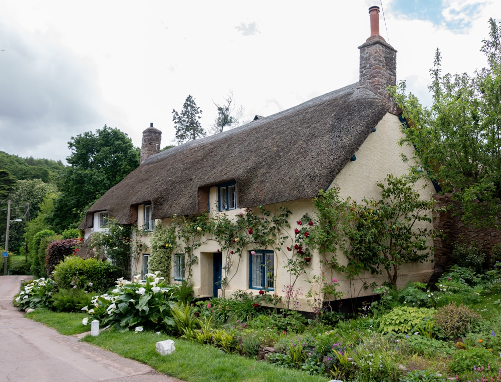 Thatched cottage with red flowers and stone walls in summer